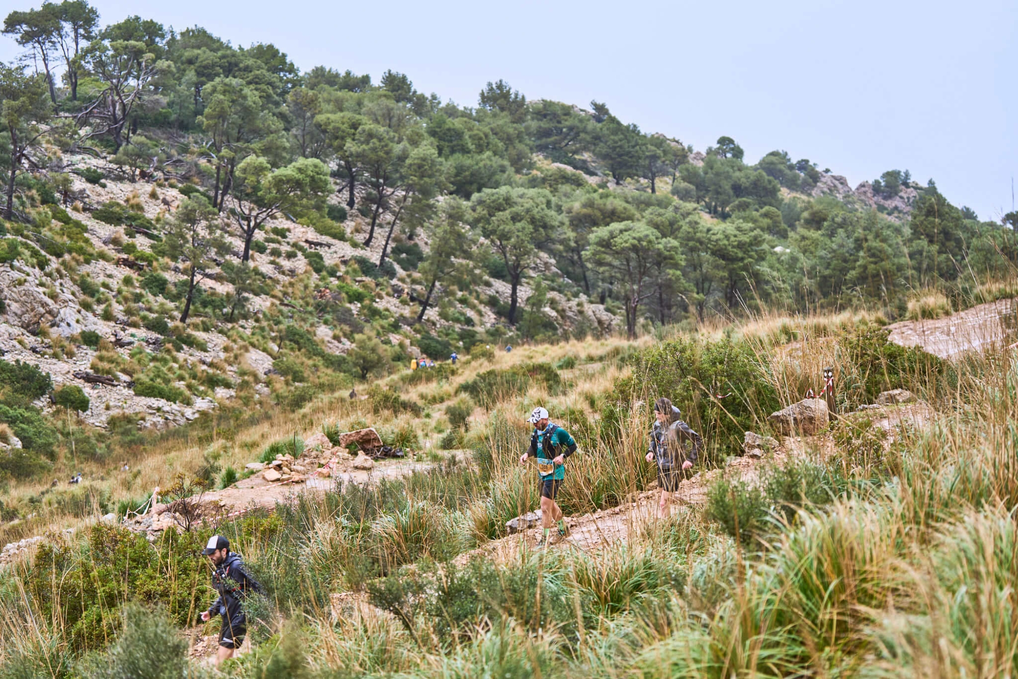 Galatzó Trail - Carrera de Montaña en Mallorca slider03
